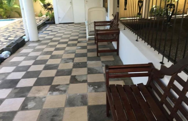 Faisan Dore - Foto 14