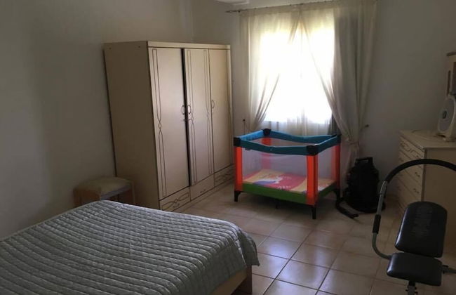 Faisan Dore - Foto 3