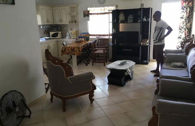 Faisan Dore - Foto 7