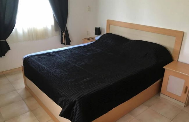 Faisan Dore - Foto 5