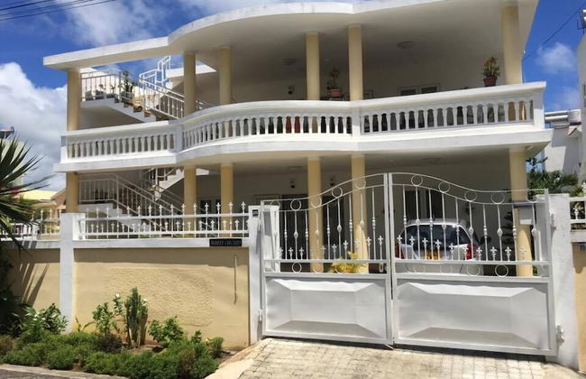 Faisan Dore - Foto 1