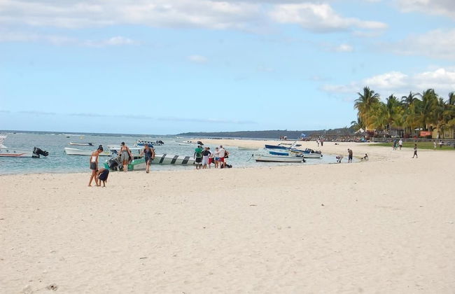 Faisan Dore - Foto 12