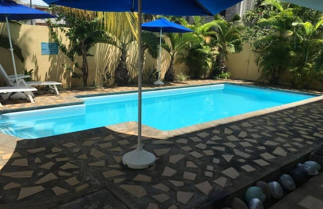 Faisan Dore - Foto 10