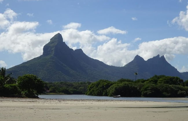 Faisan Dore - Foto 16