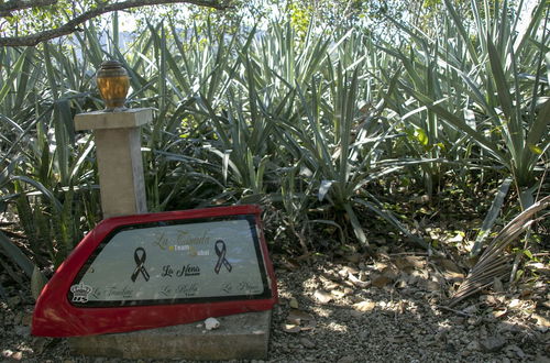 Photo 75 - Villas Cabuya Beach & Forest