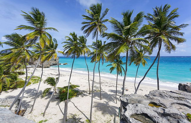 The Gem is Located a few Minutes Walk to the Gorgeous Bottom Bay Beach - Photo 7