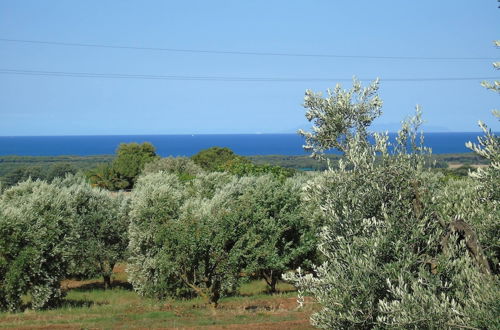 Photo 40 - On Holiday Between Sky And Sea Geco Di Campiglia pet Friendly big Garden