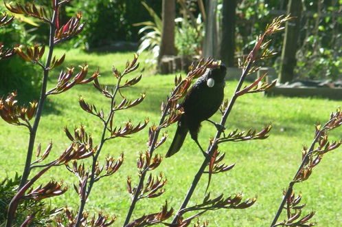 Photo 15 - Wetland View Park