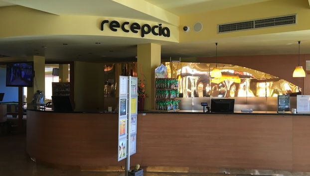 Rezeption