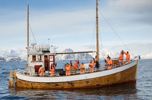 Photo 26 - Rorbuene Svolvær Havn