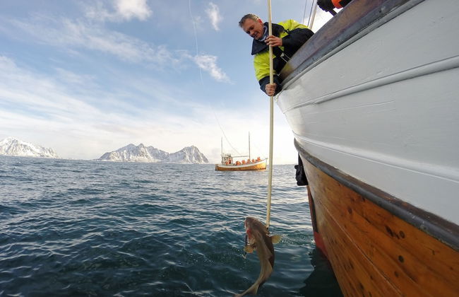 Rorbuene Svolvær Havn - Photo 22