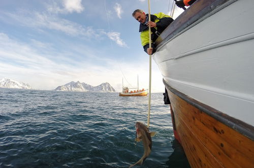 Photo 25 - Rorbuene Svolvær Havn