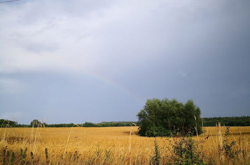 Photo 14 - Domki Drewniane Świętne