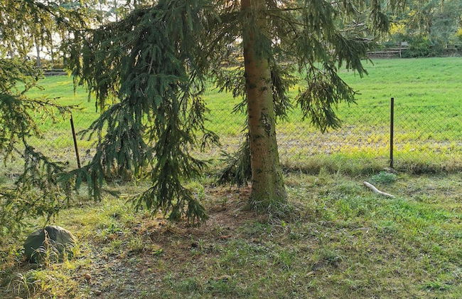 Domki Drewniane Świętne - Foto 20