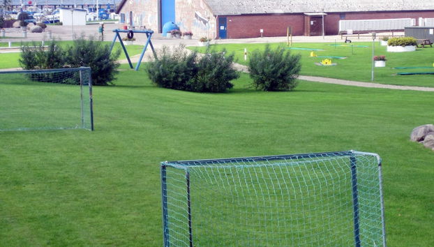 Terrain de sport