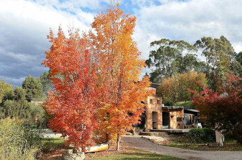 Foto 28 - Eco Villa Mt Beauty Near Falls Creek & Bright