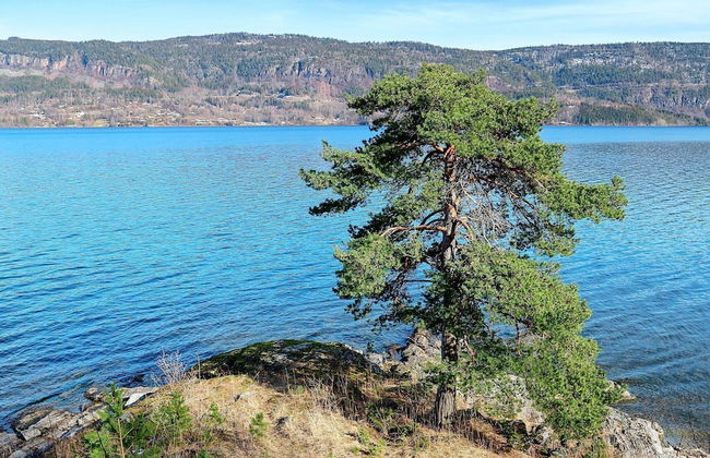 8 Person Holiday Home in Vikersund - Foto 38