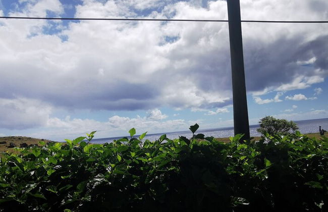 Mataveri Inn - Foto 45