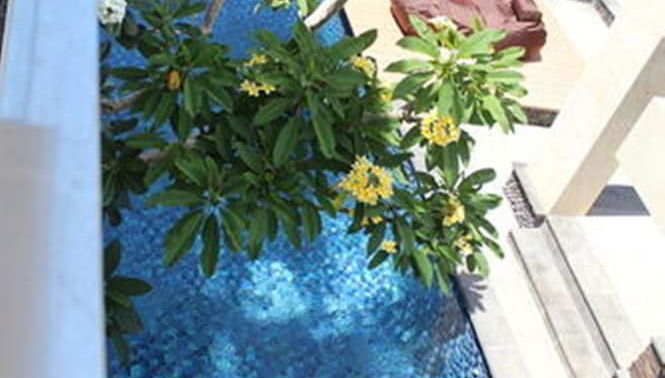 Imagem principal