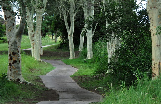 Kruger Park Lodge Unit 612 - Foto 43