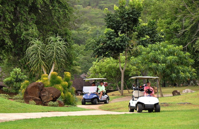 Kruger Park Lodge Unit 612 - Foto 28