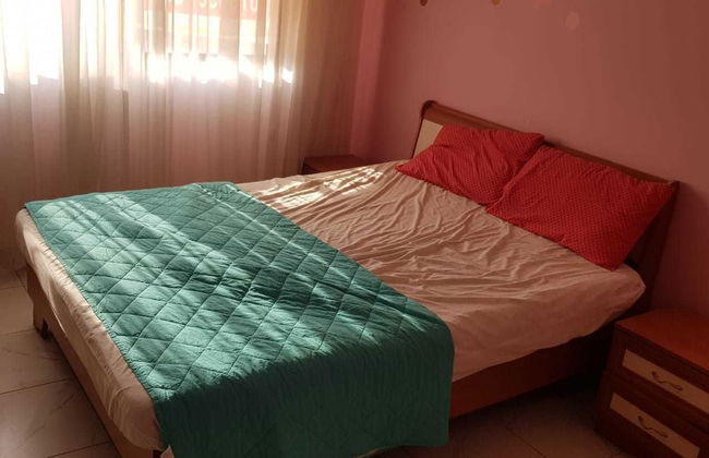 Alburdini - Foto 3