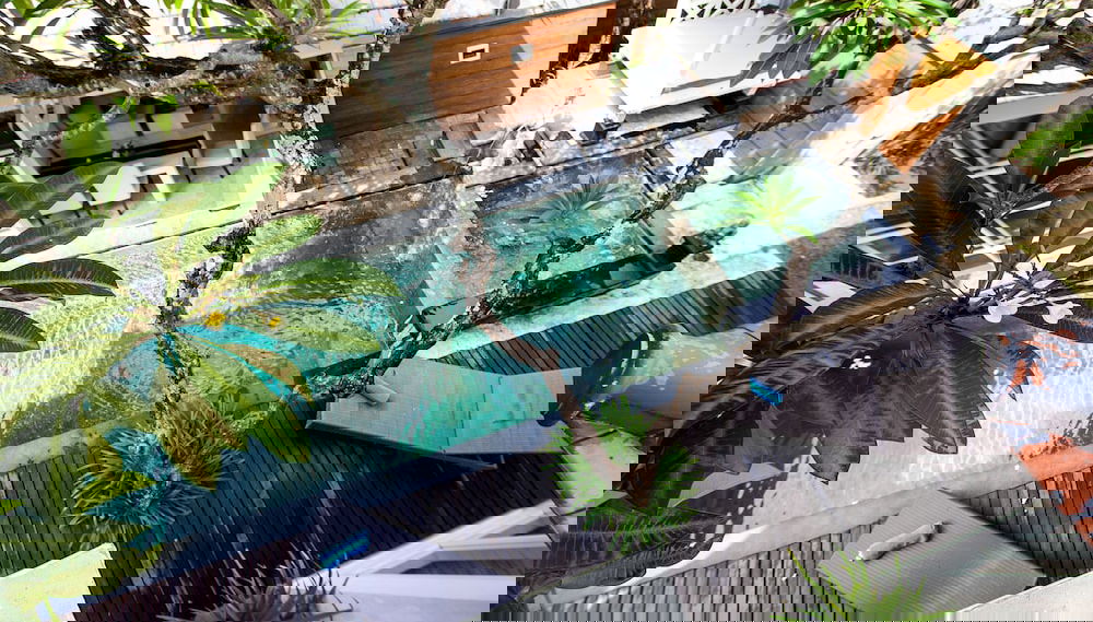 Imagem principal