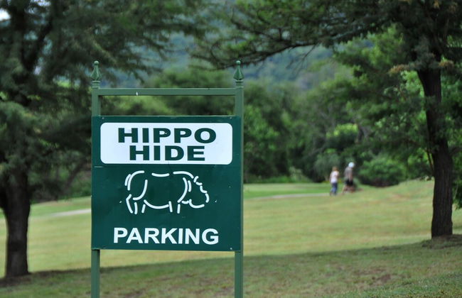 Kruger Park Lodge Unit 611 - Foto 28