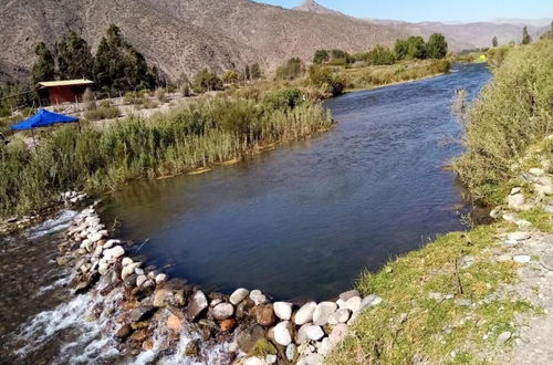 Foto 31 - Cabañas en la naturaleza del Río Elqui