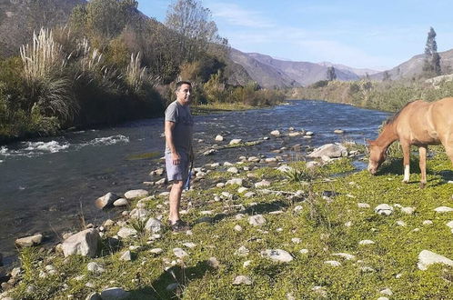 Photo 32 - Cabañas en la naturaleza del Río Elqui