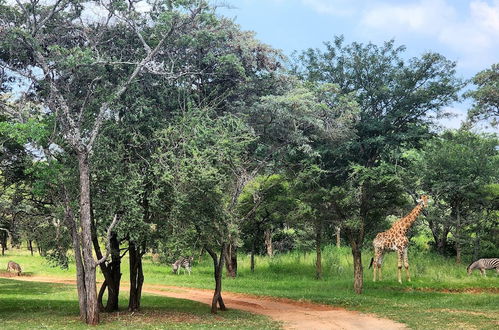 Photo 48 - Buyskop Lodge