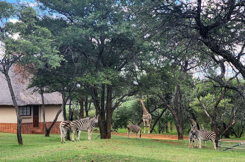 Photo 57 - Buyskop Lodge