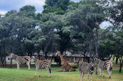 Photo 52 - Buyskop Lodge