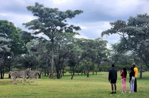 Photo 50 - Buyskop Lodge