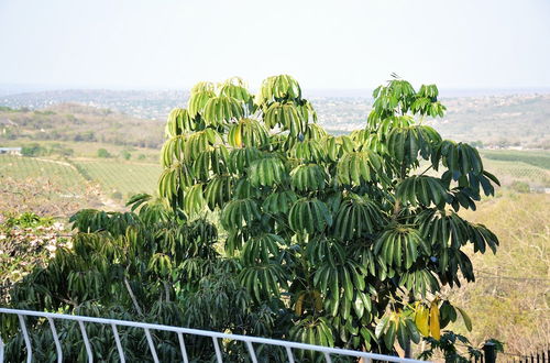 Photo 4 - Impala Niezel Lodge