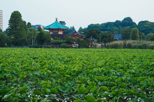 Photo 30 - TORA HOTEL Taito A