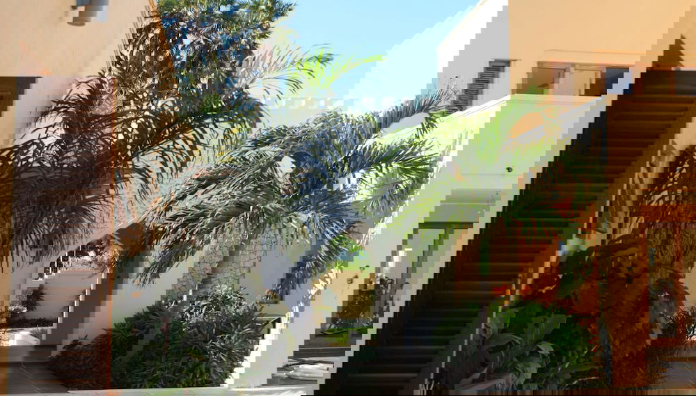 Imagem principal