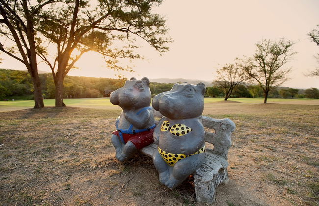 Kruger Park Lodge - Foto 45