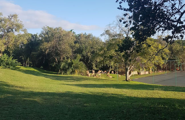 Kruger Park Lodge - Foto 30