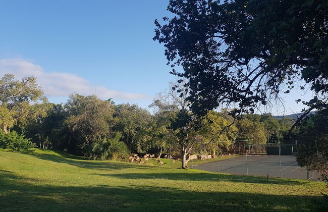 Kruger Park Lodge - Foto 19