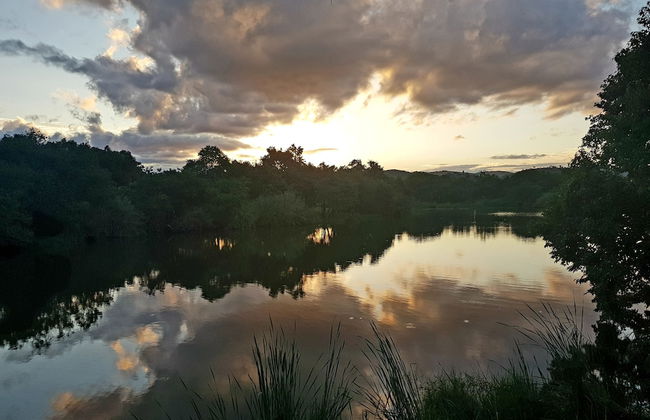 Kruger Park Lodge - Foto 51