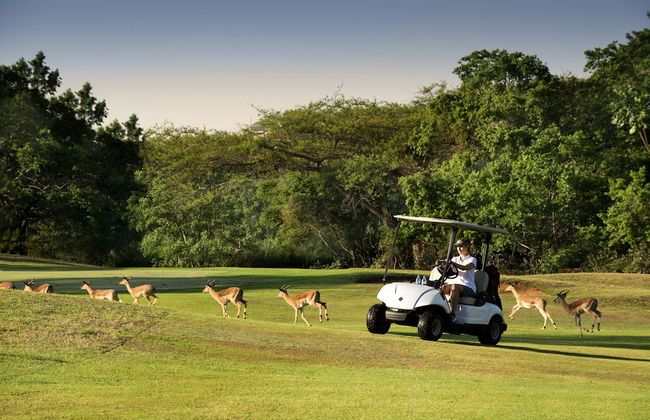 Kruger Park Lodge - Foto 22