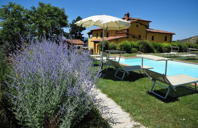 Il Bellini - Tuscany Farmholiday - Foto 21