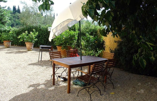 Il Bellini - Tuscany Farmholiday - Foto 26