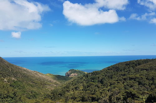 Photo 11 - Romantic Piha