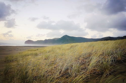 Photo 33 - Romantic Piha