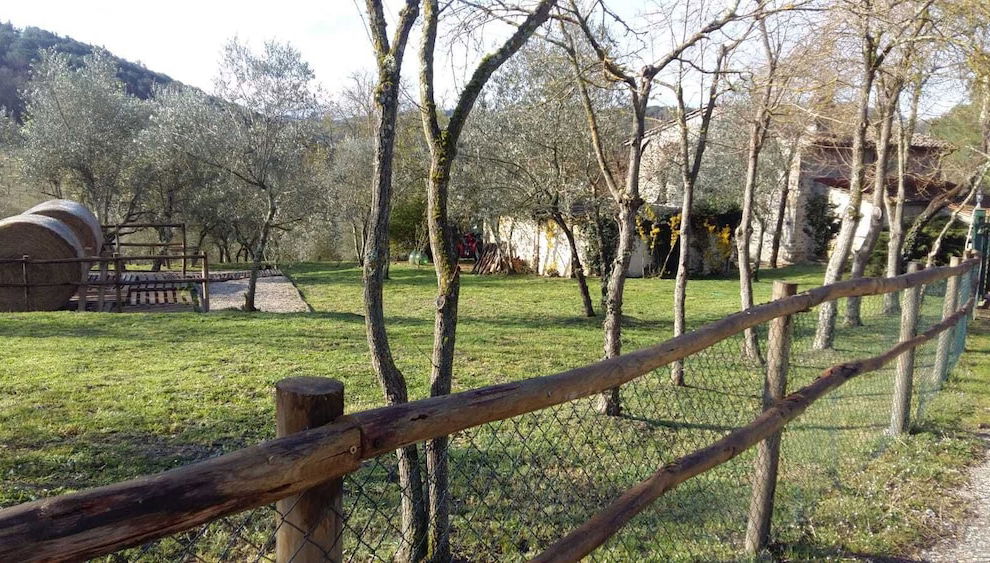 Imagem principal