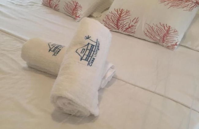 Casa Livingston - Luxury Villa - La Digue Seychelles - Foto 6