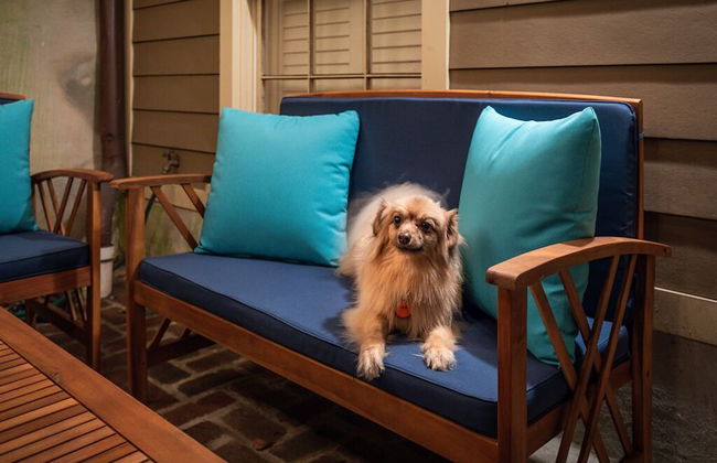 Southern Belle Garden - Foto 18
