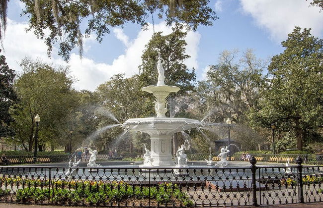 Southern Belle Garden - Foto 28
